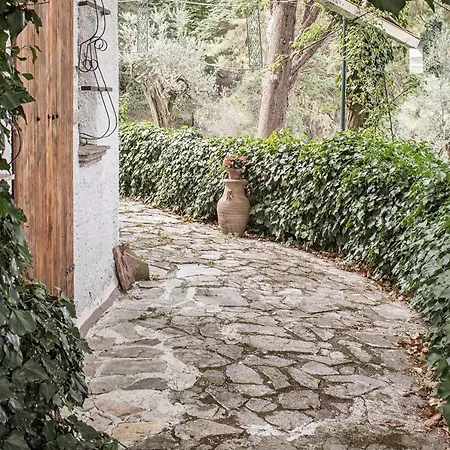 Mariani Villa *